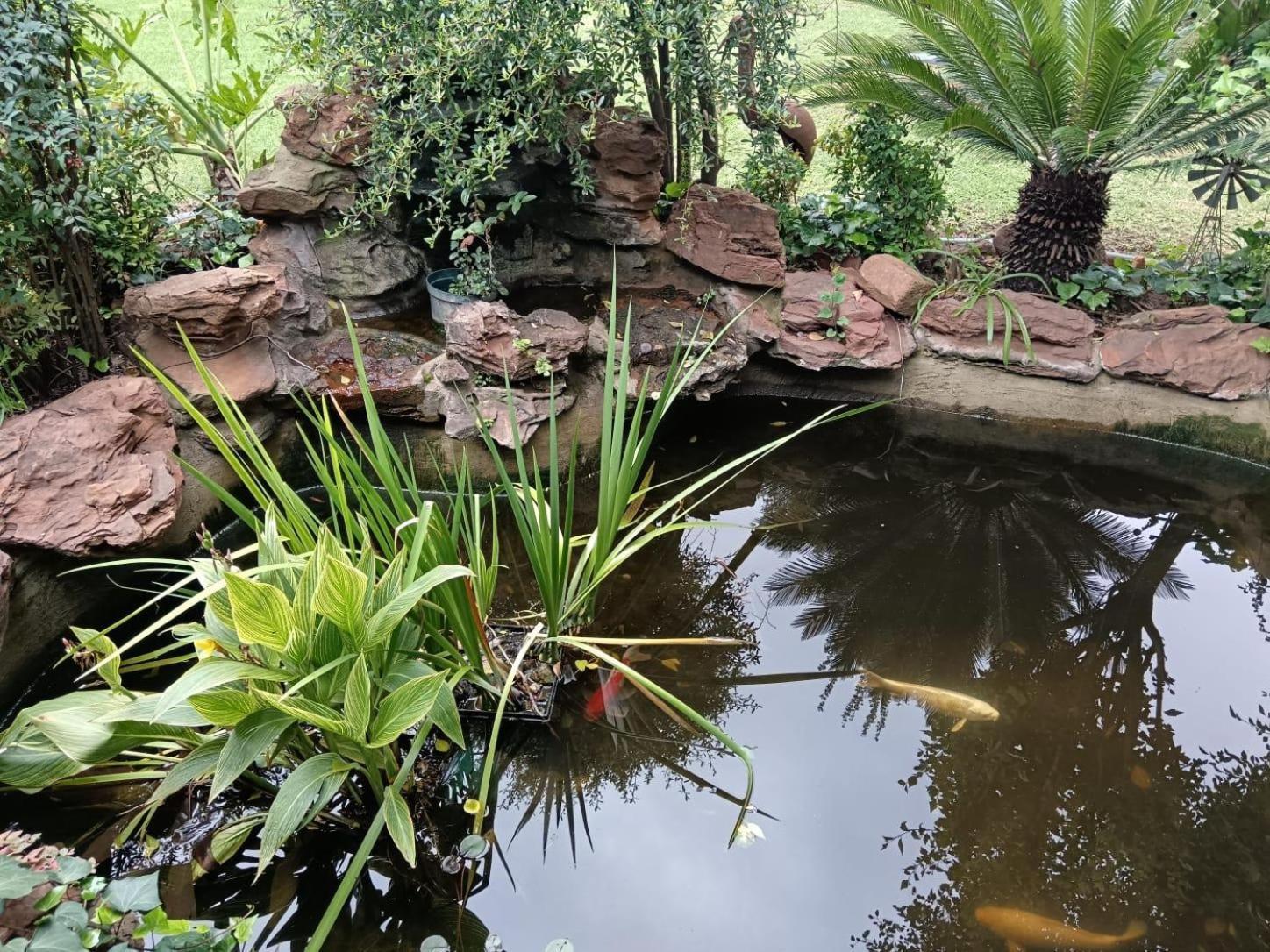 Airport Bird & Game Lodge Kempton Park Exteriör bild